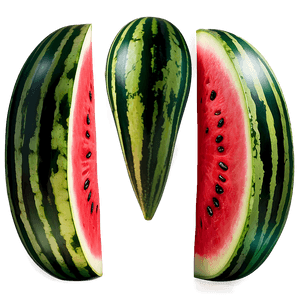 Watermelon Slice PNG 96 PNG