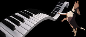Transparent Piano Keyboard Png - Piano Keyboard, Png Download PNG with transparent background