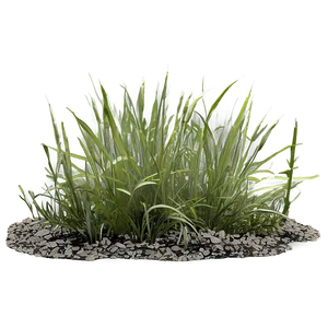 Weathered Grass Png Ttm32 PNG Image