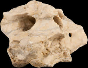 Weathered Limestone Rock PNG with transparent background