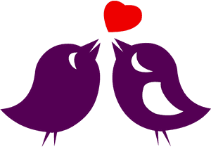 Wedding Love Bird Clipart, HD Png Download PNG image with transparent background