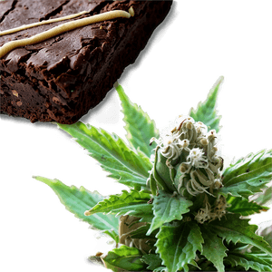 Weed Brownie PNG 05032024 PNG image with transparent background