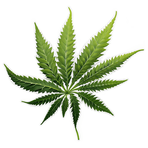 Weed Leaf PNG 17 PNG image with transparent background