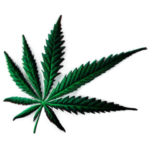 Weed Leaf PNG dnn PNG image with transparent background