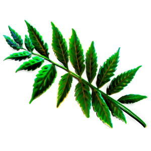 Weed Leaf PNG stg PNG image with transparent background