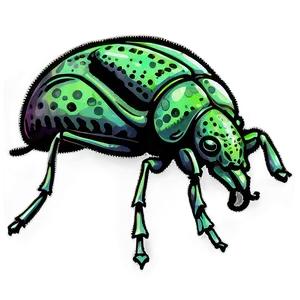 Weevil Illustration Png Ugx PNG Image