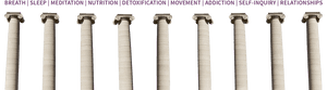9 Pillars Of Wellness, HD Png Download PNG