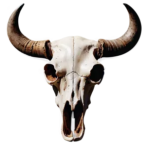 Western Cow Skull Graphic Png 06132024 PNG Image