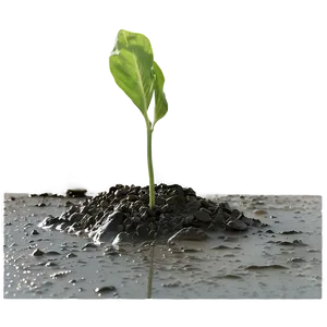 Wet Dirt Texture Png 37 PNG Image