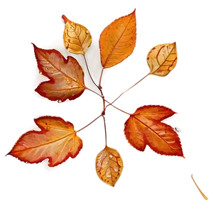 Wet Fallen Leaves After Rain Png Fkw PNG Image