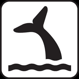 Whale Tail Icon Simple PNG with transparent background