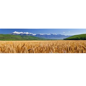 Wheat Field With Mountains Background Png Sdt37 PNG Image