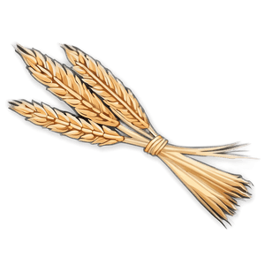 Wheat Sheaf Bundle PNG gjs21 PNG