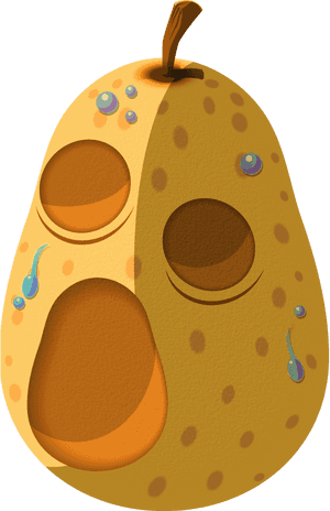 Tww Hyoi Pear Artwork - Hyoi Pear, HD Png Download PNG image with transparent background