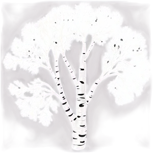 White Aspen Tree Landscape Png Qwj PNG Image