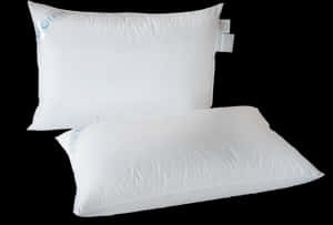 Throw Pillow - White Pillow Hd, HD Png Download PNG image with transparent background