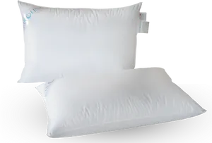 White Bed Pillowswith Tags PNG Image