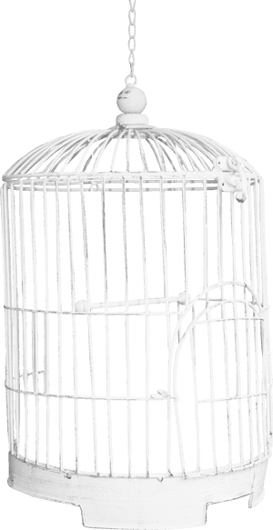 Bird-cage - White Png Cage, Transparent Png PNG with transparent background