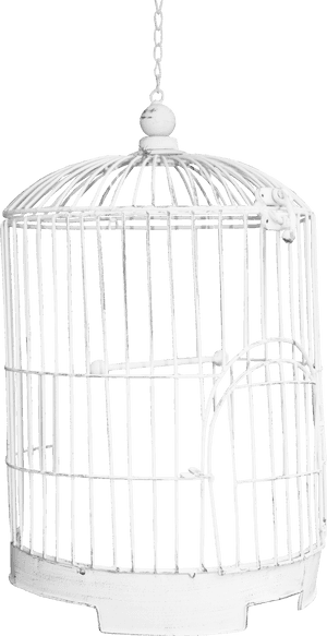 Cage White Png, Transparent Png PNG with transparent background