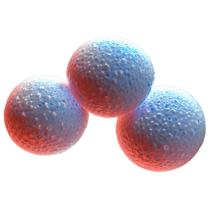 White Blood Cells PNG khd PNG with transparent background