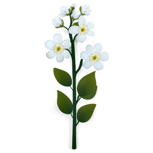 White Blossom Flower PNG jux PNG image with transparent background