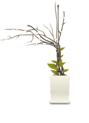 White Blossomed Branchin Vase PNG Image