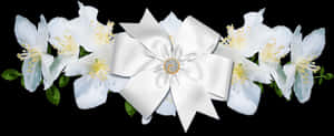 White Rose Border Png - Transparent Border White Flowers Png, Png Download PNG