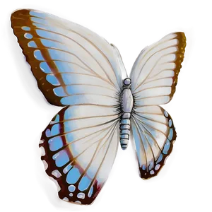 White Butterfly Drawing Png Oyn32 PNG Image