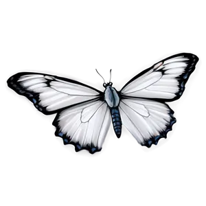 White Butterfly On White Png Vcj PNG Image