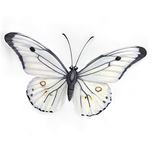 White Butterfly Pattern Png Fsi57 PNG Image