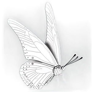 White Butterfly Side View Png Jkx93 PNG Image