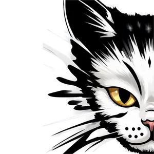 White Cat Face Png 06122024 PNG Image