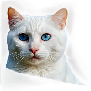 White Cat Png 41 PNG Image