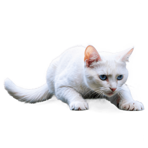 White Cat PNG inp PNG