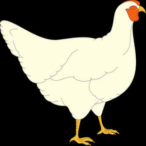 White Chicken Cartoon Illustration PNG image with transparent background