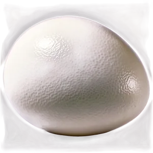 White Chicken Egg Png 6 PNG Image