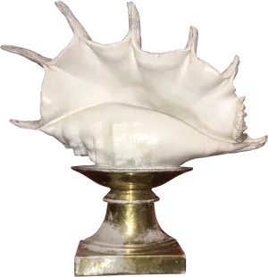 White Conchon Pedestal PNG Image