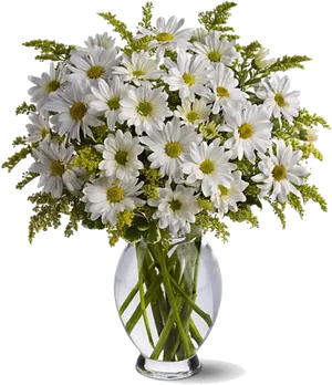 White Daisiesin Glass Vase PNG Image