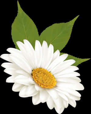 Transparent Tall Clipart - Flores Animadas, HD Png Download PNG image with transparent background