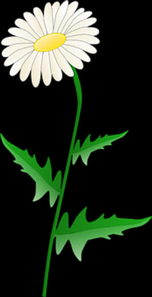 White Daisy Graphic PNG with transparent background