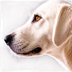 White Dog Nose Profile Png 8 PNG Image