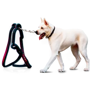 White Dog On Leash Png 62 PNG Image