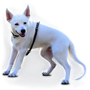 White Dog On Leash Png Hyg PNG Image