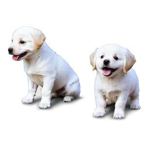 White Dog With Puppies Png 06262024 PNG Image