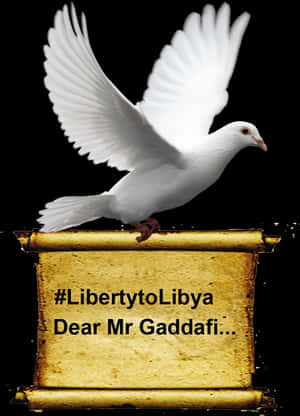 White Dove Libertyto Libya PNG image with transparent background