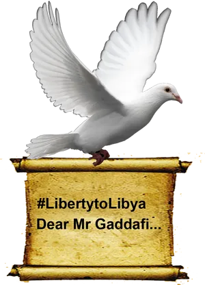 White Dove Libertyto Libya PNG Image