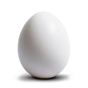 White Egg Closeup Png Eal64 PNG Image