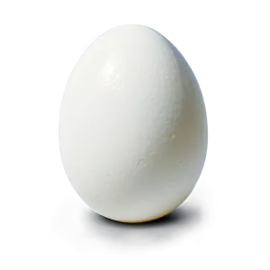 White Egg Isolated Png Ybv PNG Image