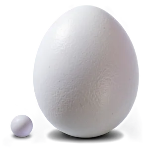 White Egg Natural Light Png 06292024 PNG Image