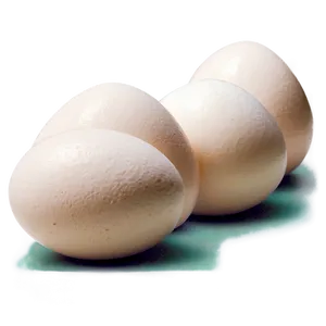 White Egg Nutritional Value Png Efx13 PNG Image